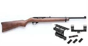 Ruger 10/22