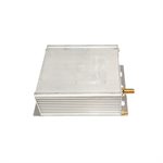 KONTROLLBOX 6.0 (CPU HAUPTPLATINE MAINBOARD) CARP ROYAL FUTTERBOOT 