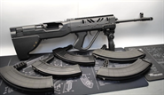 SKS Schaft / Schaftsystem Bullpup 